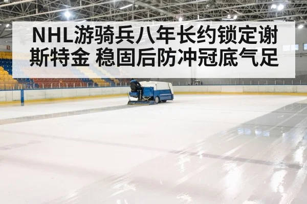 ice hockey arena